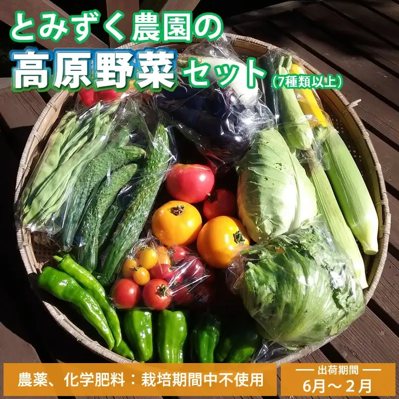 【6月～2月出荷】産地直送！旬の高原野菜セット(北海道・沖縄県・離島は配送不可) 長野 信州 無農薬 旬 季節 新鮮 詰合せ 直送 先行予約＜出荷時期2026年6月17日以降出荷開始～2027年2月28日出荷終了＞