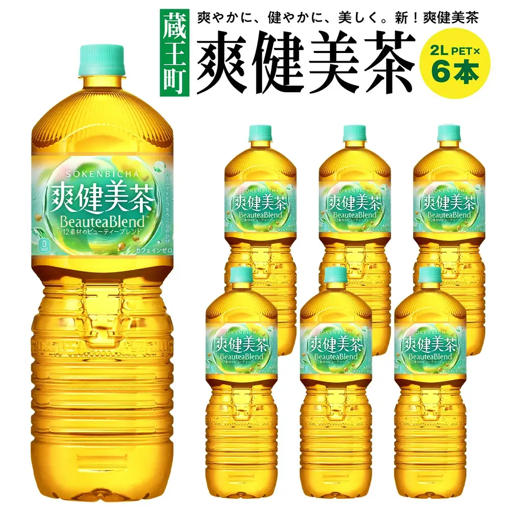 爽健美茶2LPET×6本　【04301-0528】