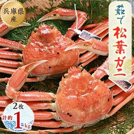 松葉ガニの本場よりプロ茹で松葉ガニ(冷凍)約500g×2枚【配送不可地域：離島】【1100455】