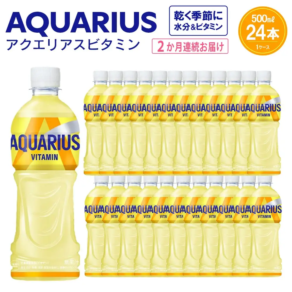 【2か月連続お届け】アクエリアス ビタミン　500ml PET×24本　【04301-0684】