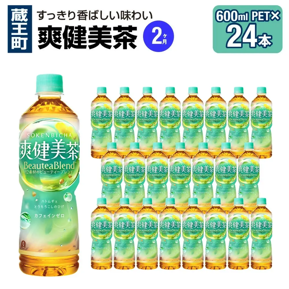 【2か月連続お届け】爽健美茶　600ml PET×24本　【04301-0696】