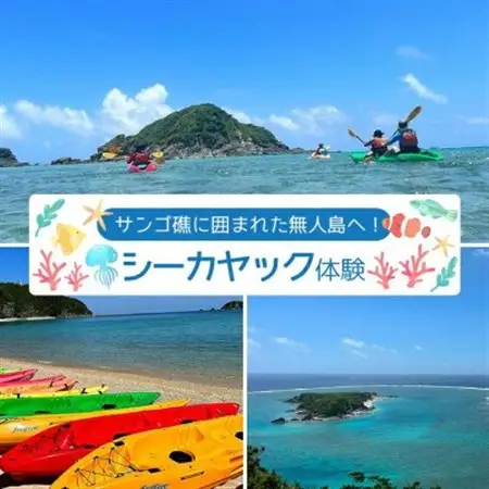 サンゴ礁に囲まれた無人島へ!シーカヤック体験 2名様【1606643】