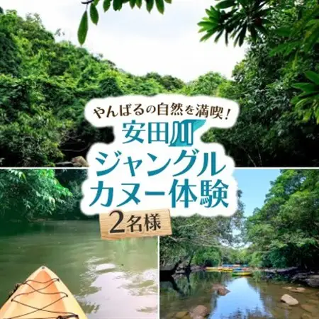 やんばるの自然を満喫!安田川ジャングルカヌー体験チケット2名様【1606644】