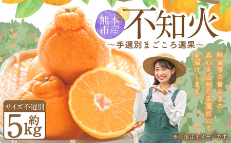 不知火（デコポンと同品種）【手選別まごころ選果】約5kg サイズ不選別 しらぬい 柑橘 くだもの 果物 フルーツ 【2027年2月上旬～4月上旬発送予定】