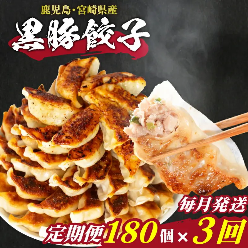  訳あり 餃子180個 餃子定期便3回 IB