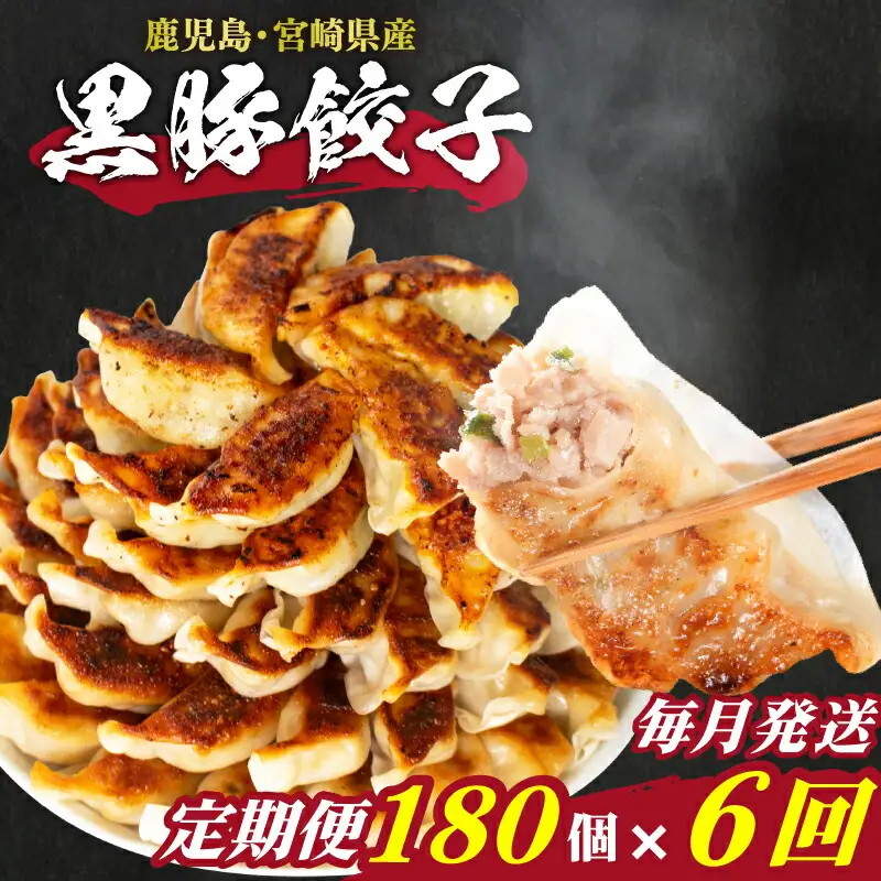  訳あり 餃子180個 餃子定期便 6回 ぎょうざ IB