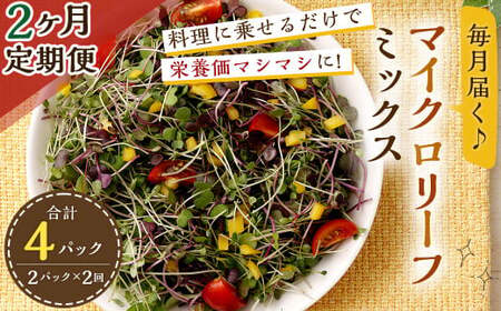 【2回定期便】 マイクロリーフミックス 1回あたり約140g（70g×2個）合計 約280g サラダ 野菜 大分県 九重町産 定期便