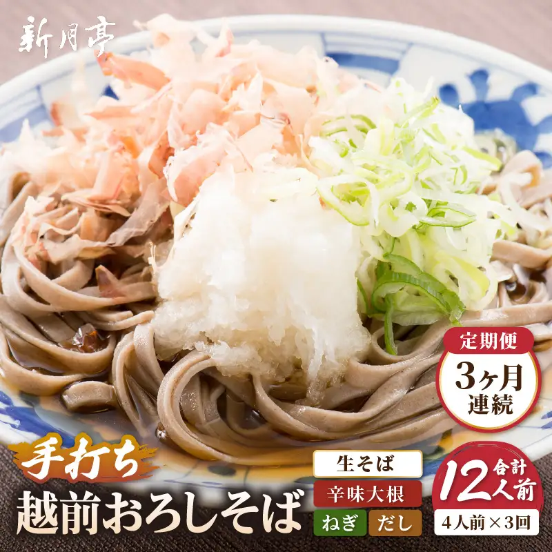 そば 定期便 ≪3ヶ月連続≫ 辛味大根付き 越前おろしそば ネギ だし付き 4人前 × 3回【 生蕎麦 冷蔵】 [e21-b002]