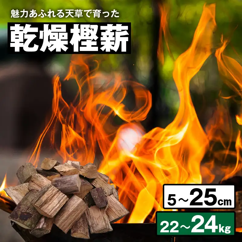 S163-003_魅力あふれる天草で育った乾燥樫薪（天樫　5cm～25cmコロ薪　22～24kg）