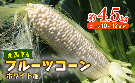 【2026年先行予約 / 数量限定 とうもろこし】フルーツコーン ホワイト 約10本～12本 とうもろこし