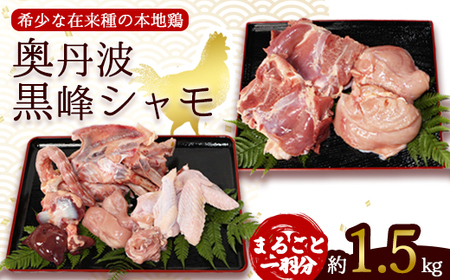 軍鶏 シャモ 新鮮軍鶏 奥丹波黒峰 1羽