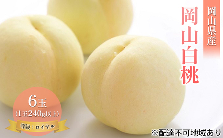桃 2026年 先行予約 岡山 白桃 6玉 約1.4kg 等級：ロイヤル（1玉 240g以上） もも モモ 岡山県産 国産 フルーツ 果物 ギフト