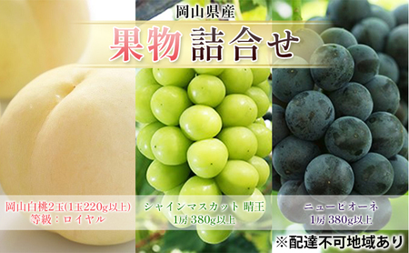 ぶどう 2026年 先行予約 果物 詰合せ 岡山 白桃 2玉 等級：ロイヤル（1玉220g以上） シャインマスカット 晴王 1房 380g以上 ニューピオーネ 1房 380g以上 もも 葡萄 岡山県産 国産 フルーツ 果物 ギフト