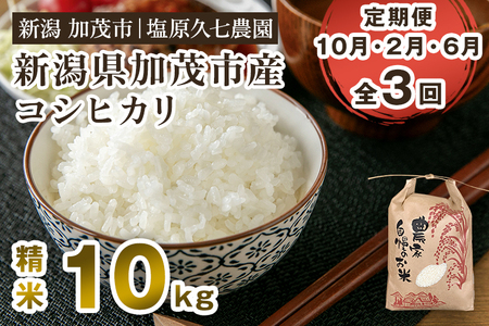 【令和8年産新米先行予約】【定期便3回10月・2月・6月にお届け】産コシヒカリ 精米10kg（5kg×2袋） 《10月上旬～順次出荷》