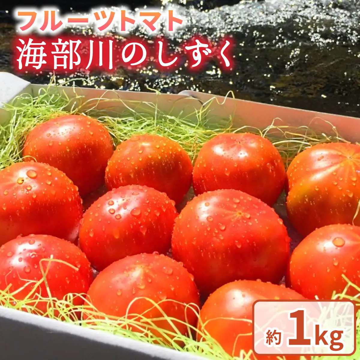 フルーツトマト「海部川のしずく」約1kg トマト とまと tomato