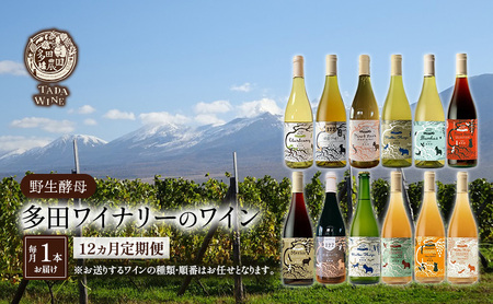 ワイン12ヵ月定期便◎月1本×12回◎多田ワイナリー◎野生酵母ワイン 北海道 上富良野町 ワイン 赤ワイン 白ワイン 微発泡ワイン オレンジワイン
