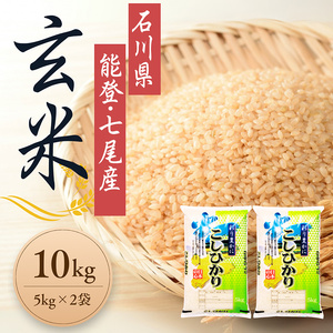 【発送時期が選べる】令和7年産 石川県能登産 こしひかり玄米10kg（5kg×2個） ※2026年6月～発送