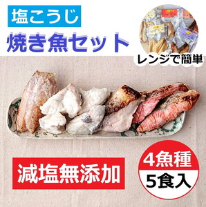 【発送時期が選べる】レンジで簡単　塩こうじ　焼き魚セット｜焼魚 海鮮 海鮮 海鮮 鮭 さけ サーモン 鮭 サーモン セット 石川県 七尾市 能登