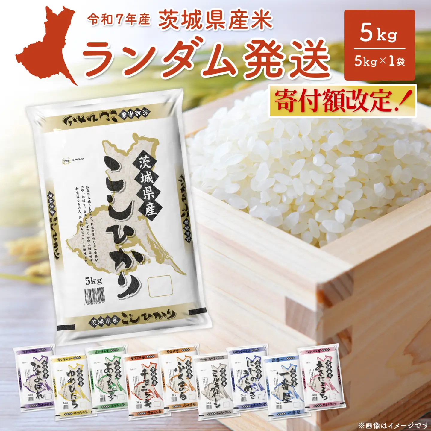 白米 5月内発送 ランダム 5kg 茨城県産 令和7年産 米 K2464