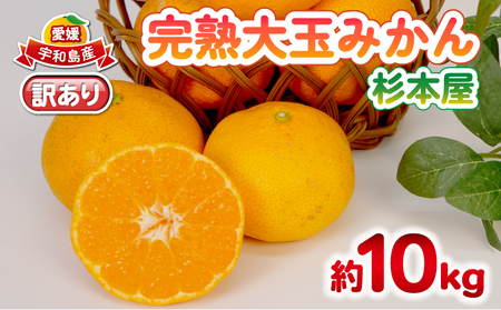 【11/20～12/20発送予定】 みかん 訳あり 完熟 大玉みかん 10kg 杉本屋 B010-143017