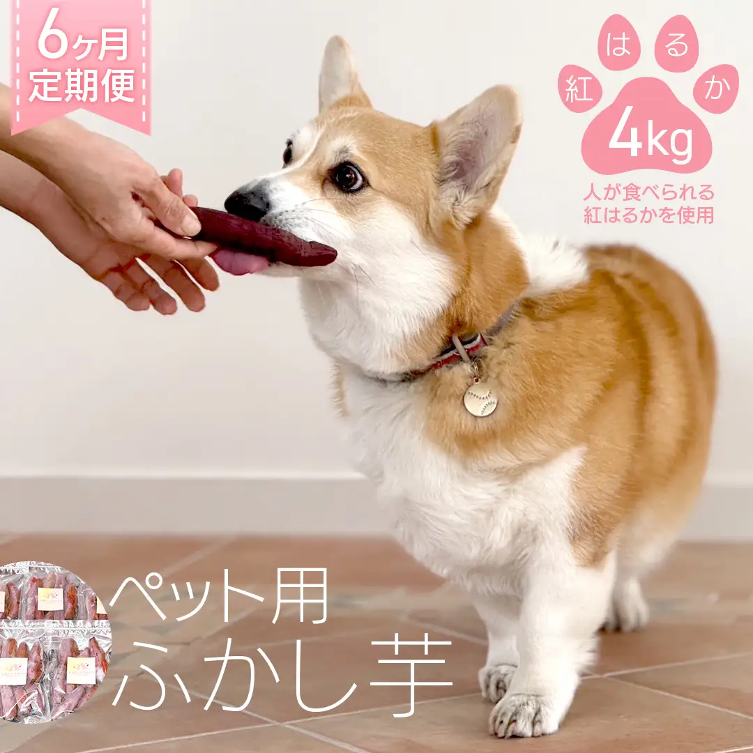 【6ヶ月定期便】動物 ペットおやつ ペット用 ふかし芋 小芋 紅はるか 芋 いも おやつ 動物 ペットフード 犬 猫 間食 ヘルシー オヤツ 4kg  [AU125ya]
