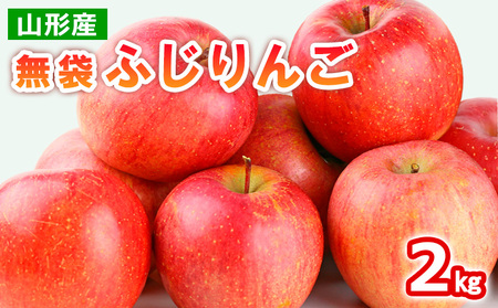 山形産 無袋 ふじりんご 秀2kg(5～8玉)【令和8年産先行予約】FS25-775