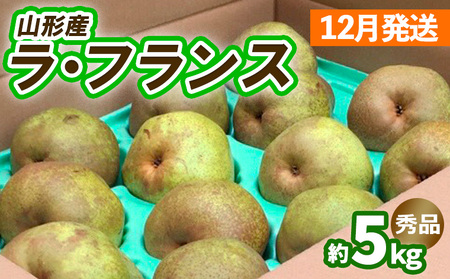山形のラ・フランス約5kg（10～16玉 3L～6L)[12月発送]【令和8年産先行予約】FS25-743
