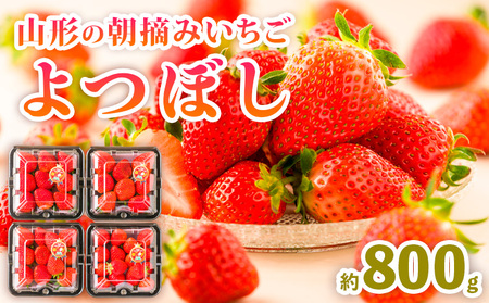 山形の朝摘みいちご よつぼし 約800g FY25-030