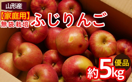 【家庭用】ふじりんご 優品 約5kg入り【令和8年産先行予約】FS25-760