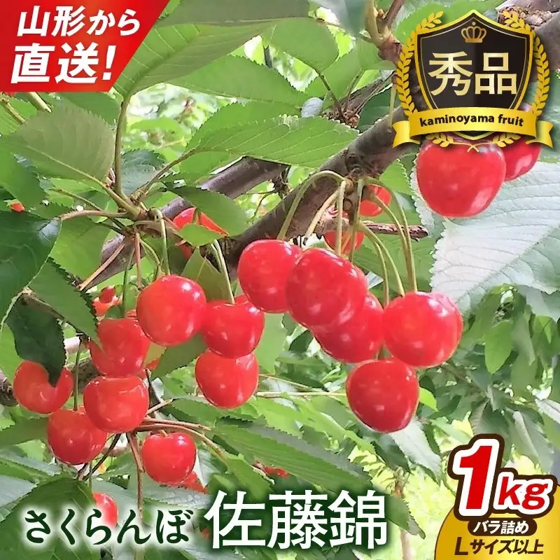さくらんぼ（佐藤錦）１ｋｇ以上　Ｌサイズ以上　秀品　0079-2602