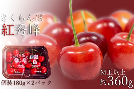 【2026年発送】さくらんぼ紅秀峰360g（M玉以上・180g×2パック詰）_H225(R8)