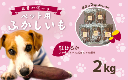 無添加 ペット用ふかし芋 小芋 紅はるか 2kg 【 ドッグフード ドッグフード ドッグフード ドッグフード ドッグフード 】