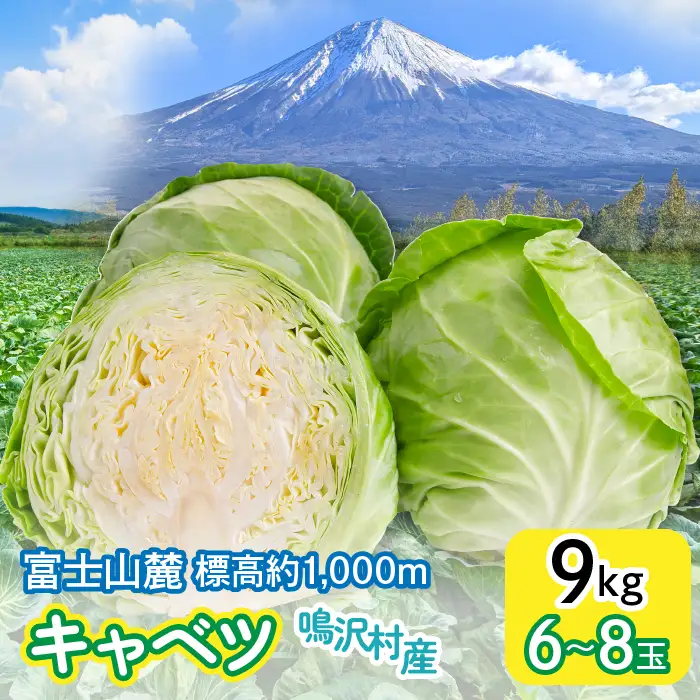 ＜2026年発送＞キャベツ　９㎏　（６～８玉） ふるさと納税 キャベツ 新鮮 美味しい シャキシャキ 野菜 山梨県 鳴沢村 送料無料 NSAK005