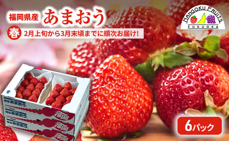 【春】福岡産あまおう6パック いちご  苺 イチゴ フルーツ 果物 ※配送不可:離島