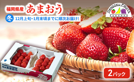 【冬】福岡産あまおう2パック いちご  苺 イチゴ フルーツ 果物 ※配送不可:離島