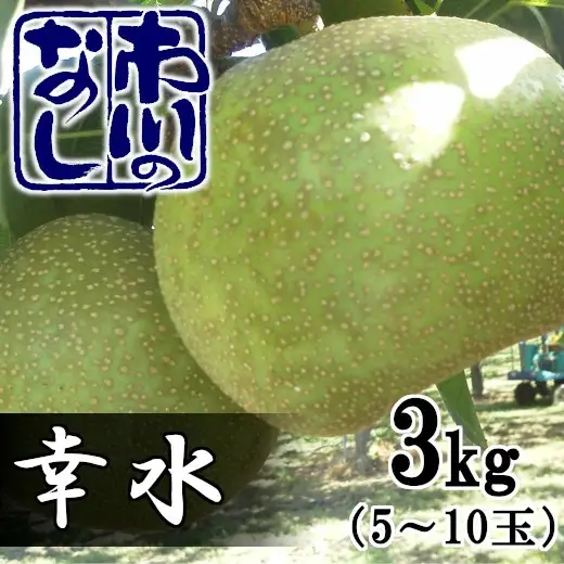 市川の梨　幸水　3kg（5～10個入り）　【12203-0084】