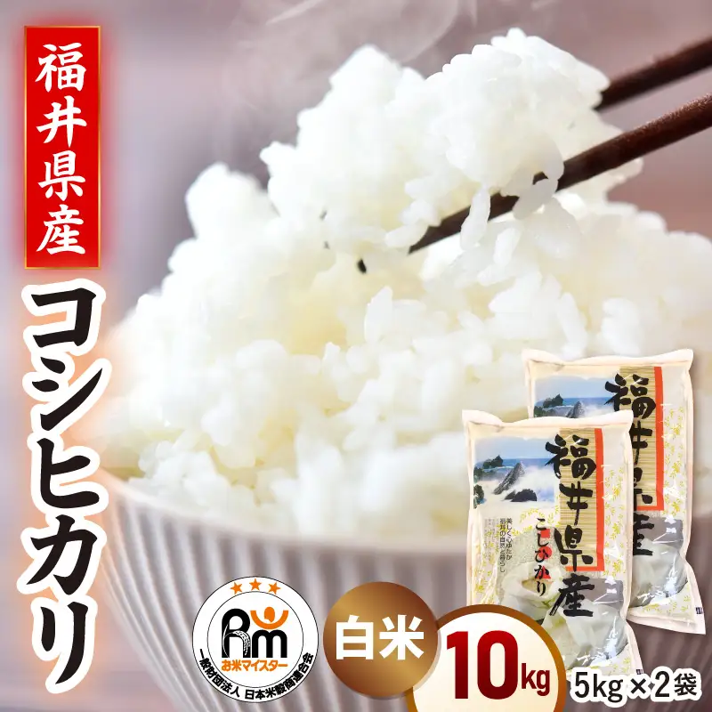 令和7年産  10kg 精米 コシヒカリ 福井県産《14日以内に出荷予定》【 5キロ  こしひかり 人気品種 産地直送 新生活 】 [e66-b002]
