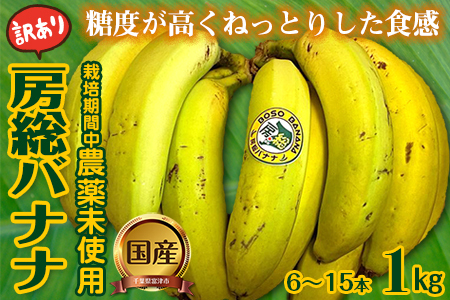 【訳あり】房総バナナ 1kg（6～15本）【農薬未使用】