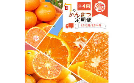 定期便【全4回】ご家庭用柑橘セット みかん 不知火 せとか 清見 【tkb412】