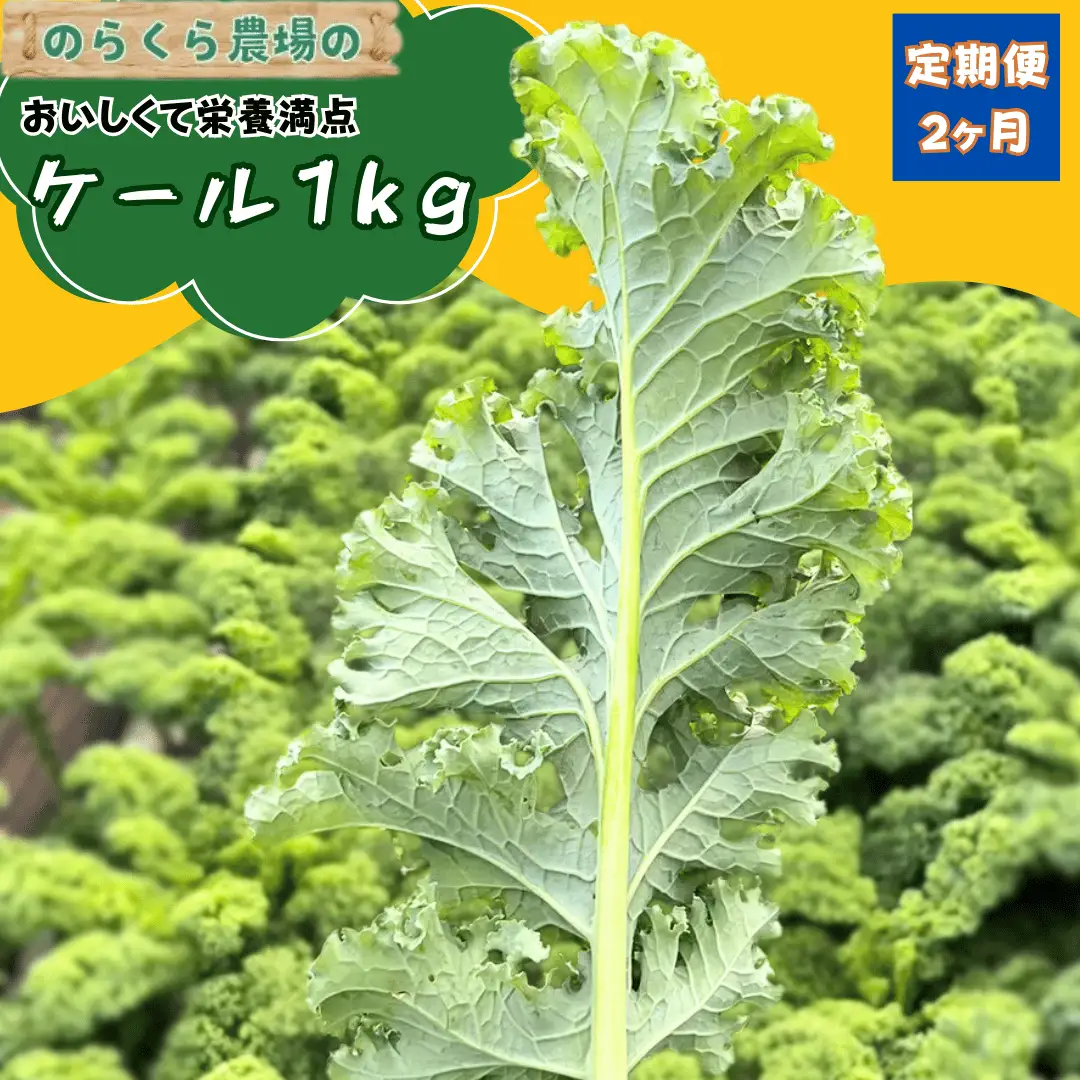 【先行受付】のらくら農場 ケール１kg　2か月定期便 [NK-T522]