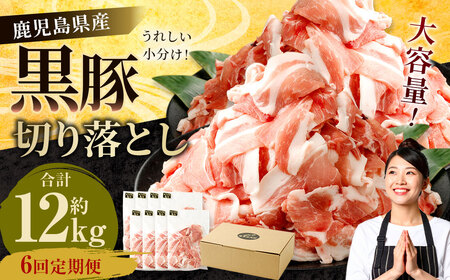 GSR-032 【6ヶ月定期便】鹿児島県産黒豚 大容量小分けパック切り落とし 合計12kg（2kg×6回） 黒豚 黒豚切り落とし 切り落とし 豚肉 ウデ肉 肩肉
