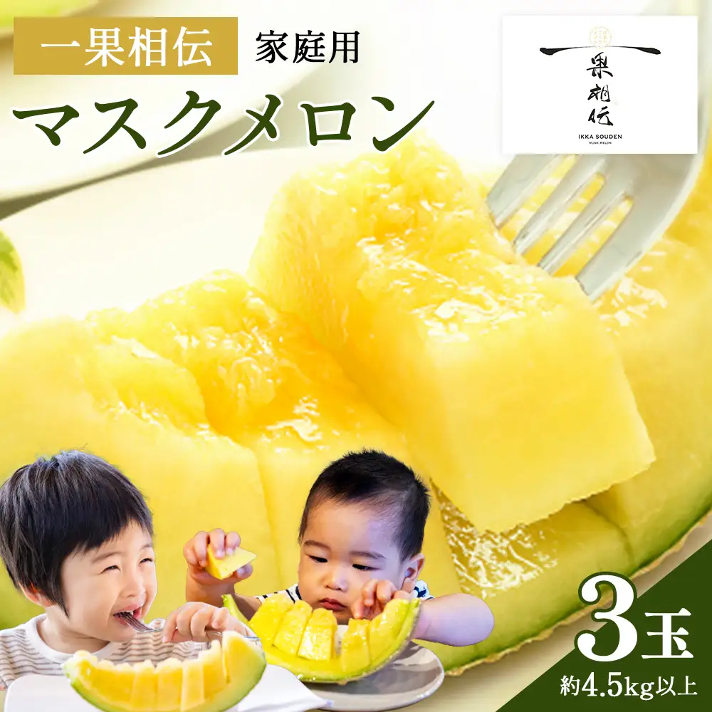 【訳あり】家庭用マスクメロン 3玉 メロン 青肉 tn-0029