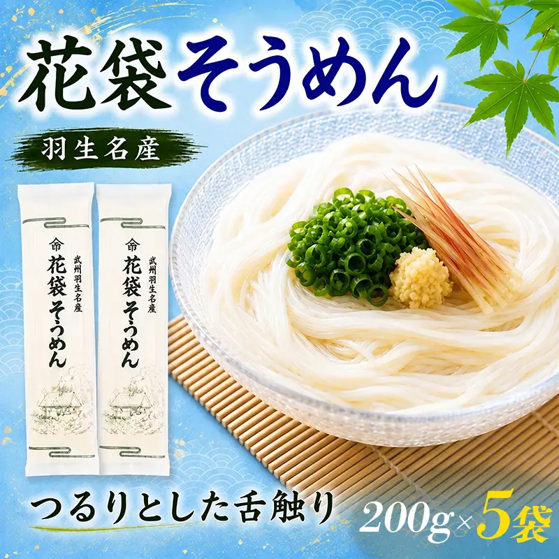 そうめん 花袋そうめん 5袋 そうめん