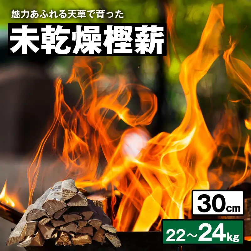 S163-007_魅力あふれる天草で育った未乾燥樫薪（天樫　長さ30cm 22～24kg）