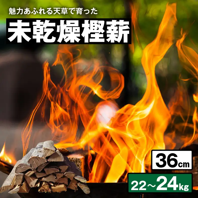 S163-008_魅力あふれる天草で育った未乾燥樫薪（天樫　長さ36cm　22～24kg）