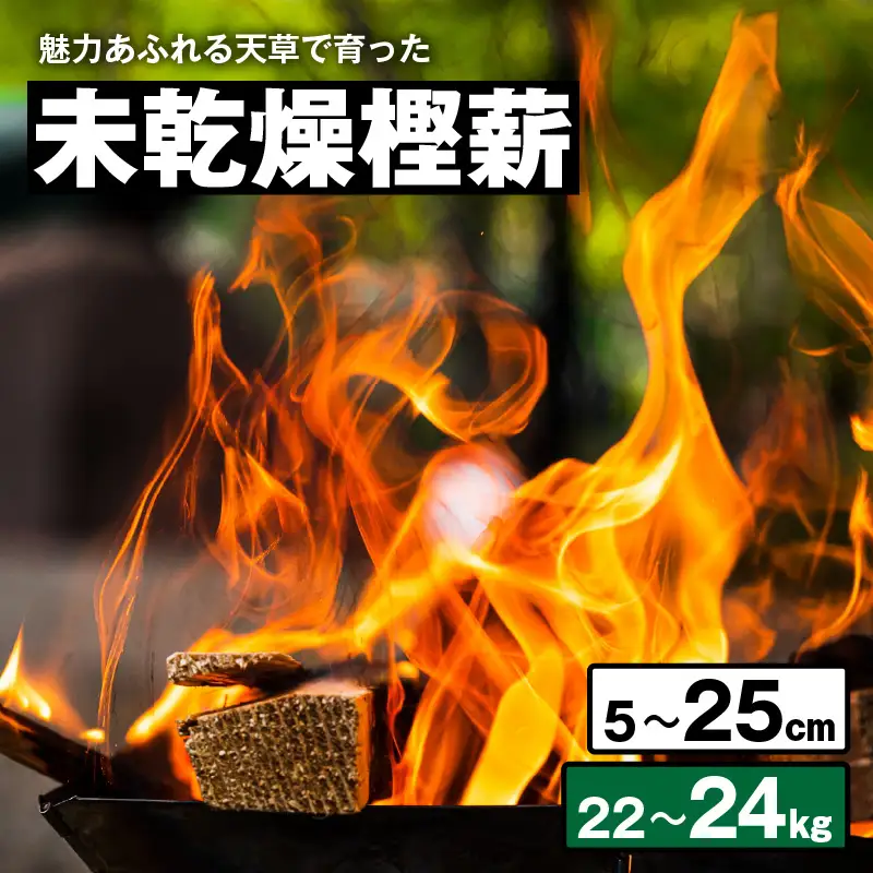 S163-009_魅力あふれる天草で育った未乾燥樫薪（天樫　5cm～25cmコロ薪　22～24kg）
