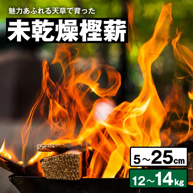 S163-012_魅力あふれる天草で育った未乾燥樫薪（天樫　5cm～25cmコロ薪　12～14kg）