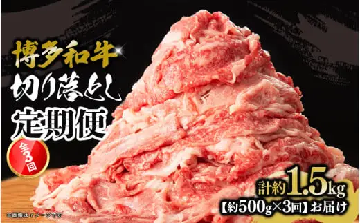 博多和牛 切り落とし 定期便全3回 計約1.5kg 肉 お肉 博多和牛 和牛 牛肉 バラ カタ モモ ウデ 赤身 切り落とし 国産 冷凍 冷凍配送 選べる 使い切り 柔らかい ジューシー すき焼き 牛丼 肉じゃが 福岡県 八女市 072-T100