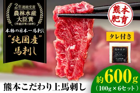 馬刺し 上赤身 ブロック 国産 熊本肥育 冷凍 生食用 たれ付き(10ml×6袋) 100g×6セット《3-7日以内に出荷予定(土日祝除く)》肉  絶品 牛肉よりヘルシー 馬肉 予約 平成27年28年 農林水産大臣賞受賞  人気馬刺し  人気返礼品 熊本馬刺し ブランド馬刺し 
