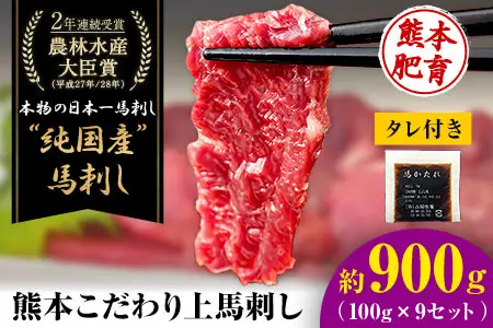 馬刺し 上赤身 ブロック 国産 熊本肥育 冷凍 生食用 たれ付き(10ml×9袋) 100g×9セット《3-7日以内に出荷予定(土日祝除く)》肉  絶品 牛肉よりヘルシー 馬肉 予約 平成27年28年 農林水産大臣賞受賞  ｜人気馬刺し  人気返礼品 熊本馬刺し ブランド馬刺し 